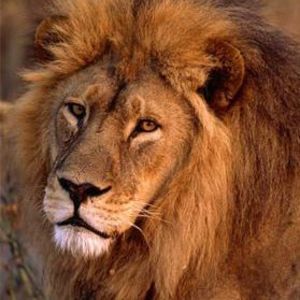 Meet your Posher, Gary